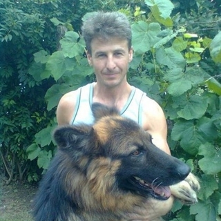 8c2fbe8336profilképe