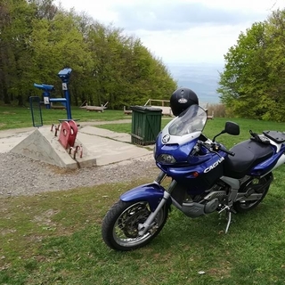 d879dab08profilképe