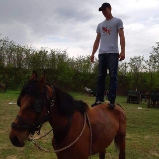 49bb1066eprofilképe