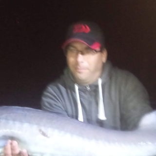 4e3798ebcprofilképe